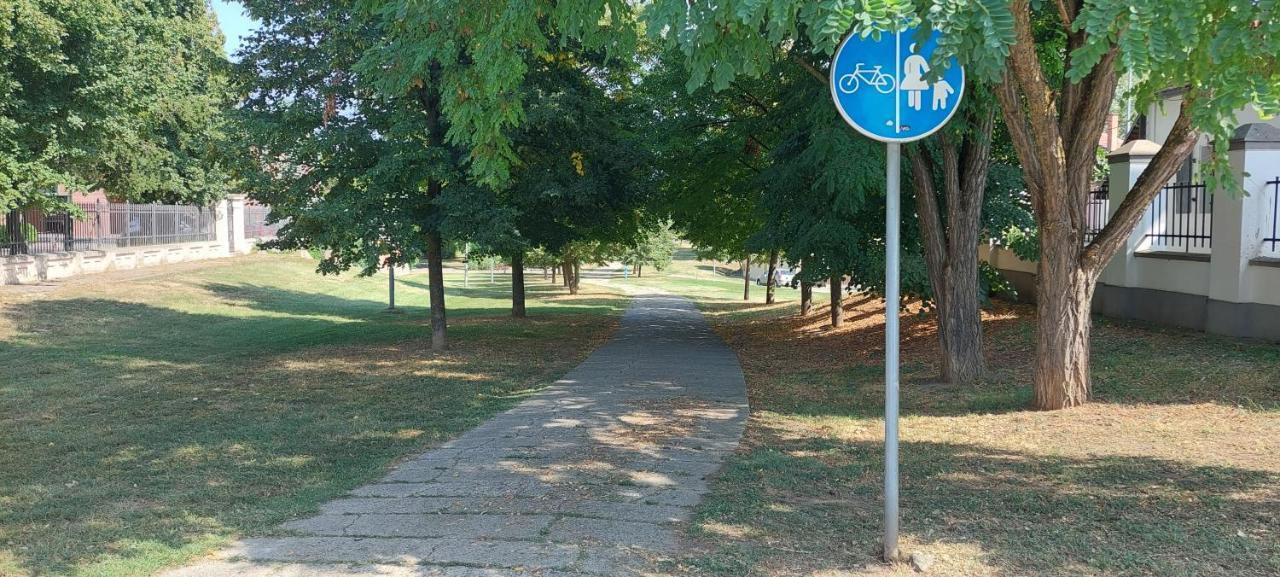 Dita Osijek, Centar Grada *